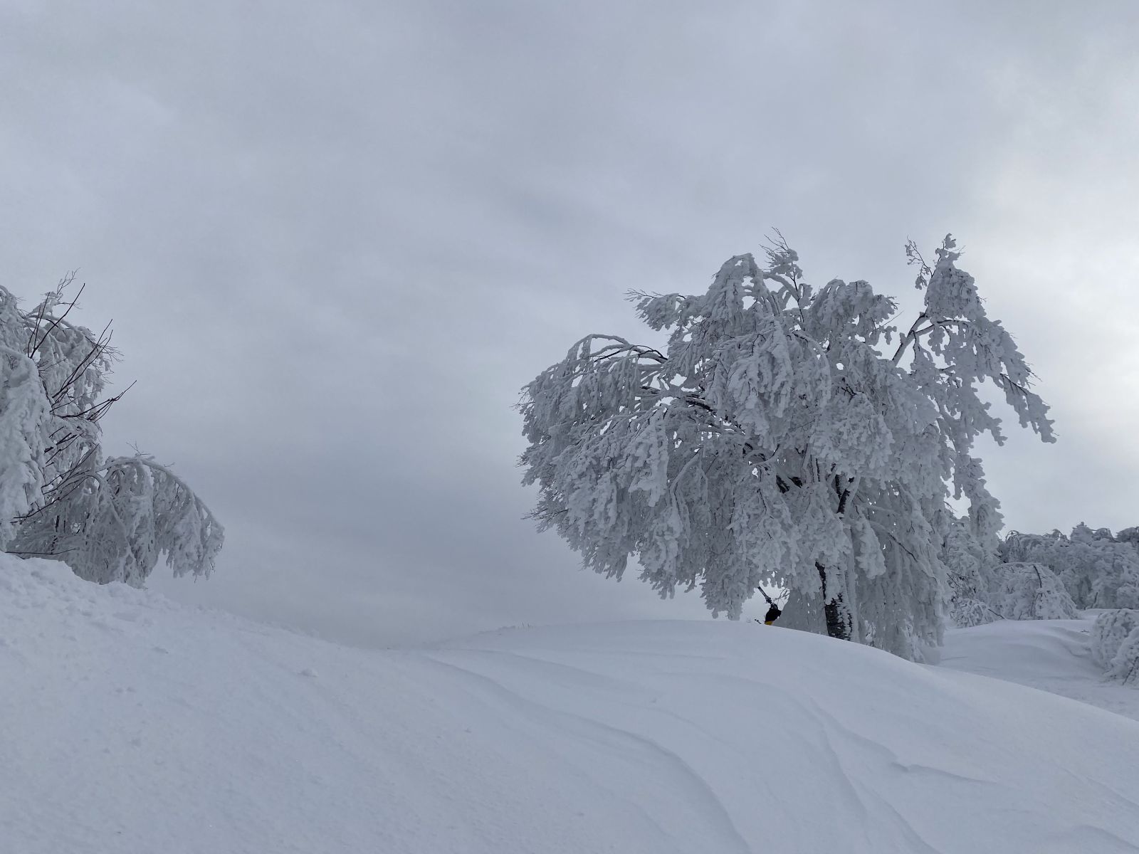 On the slopes in Japan