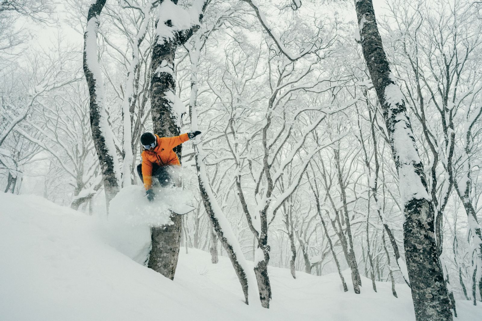 Photo of fresh poweder and snowboarder in japan