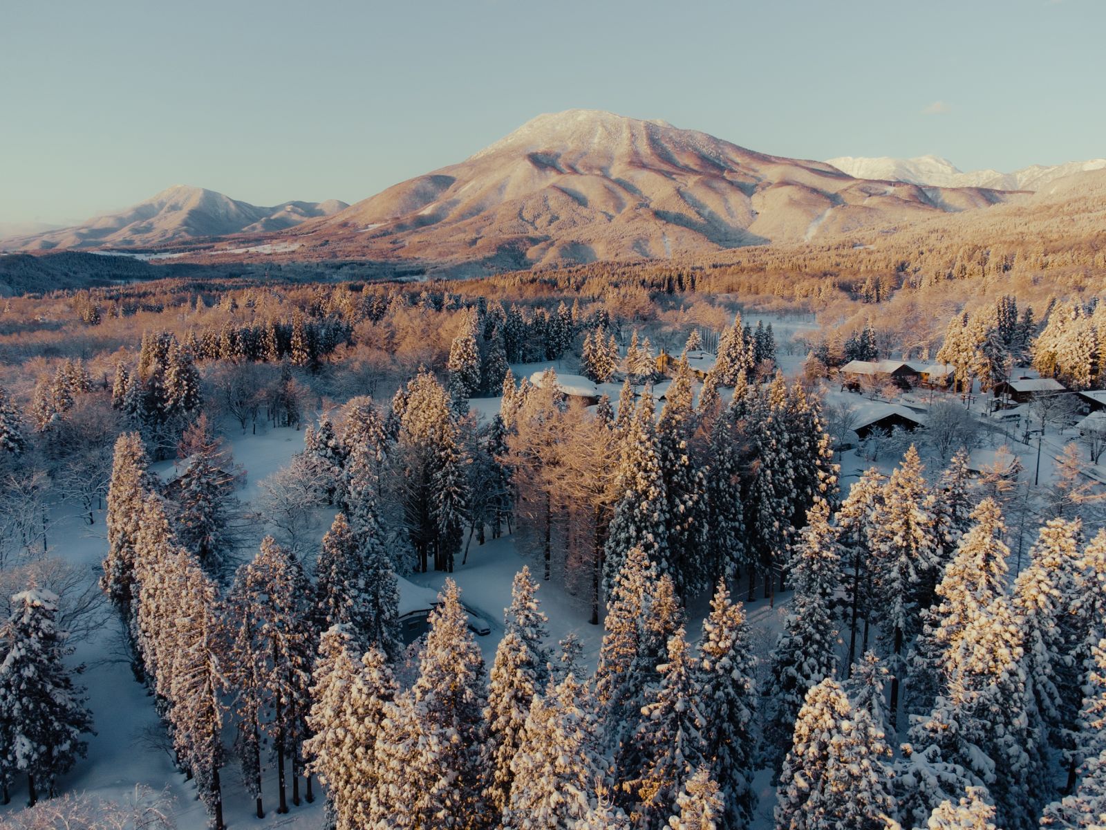 drone shot of snowy forest in japan by hamish lockett
