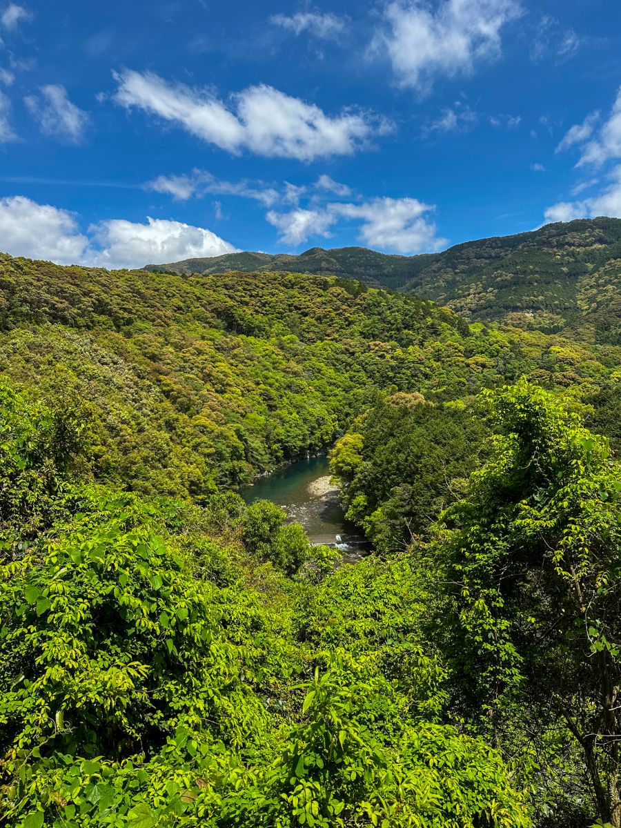 The Ichinose River surrounded by lush green forest