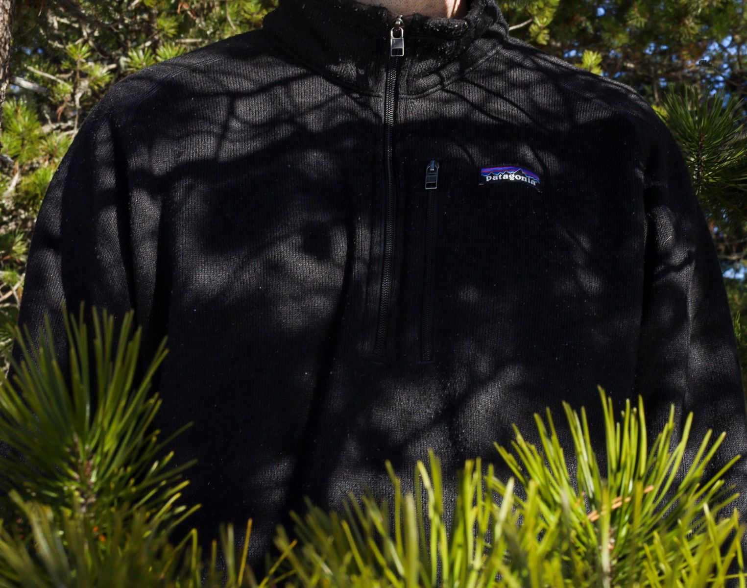 Patagonia Better Sweater in Black