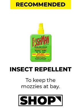 Recommended: Insect Repellent
