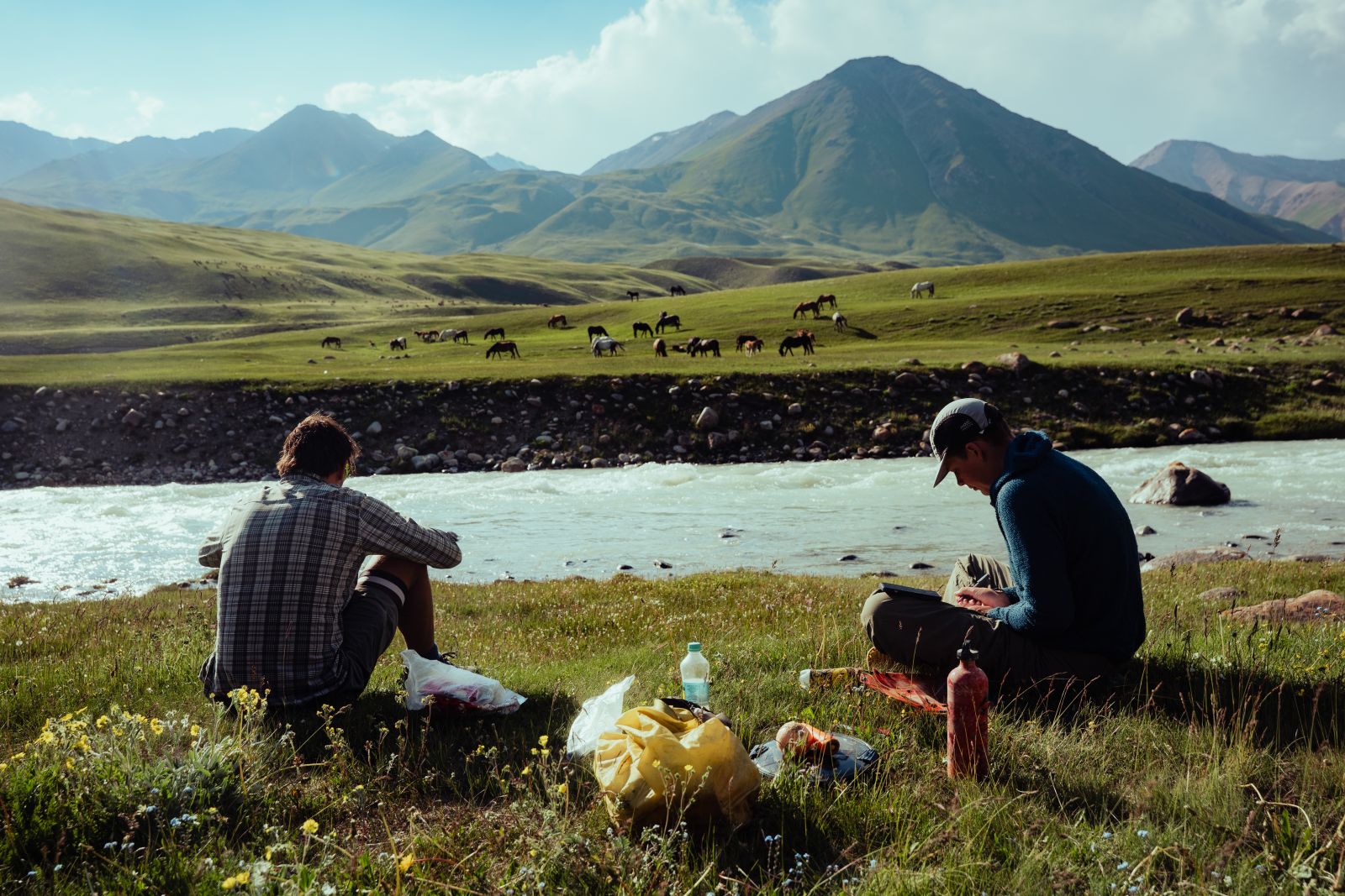 lunch with Wild Horses