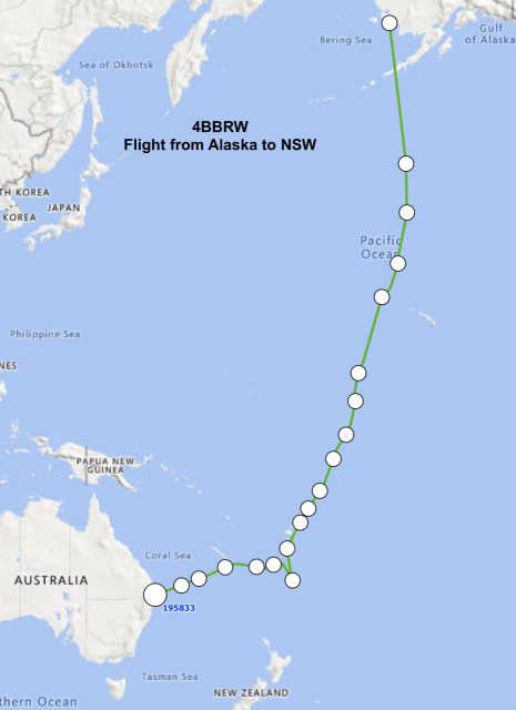 Bird route from Alaska to Australia