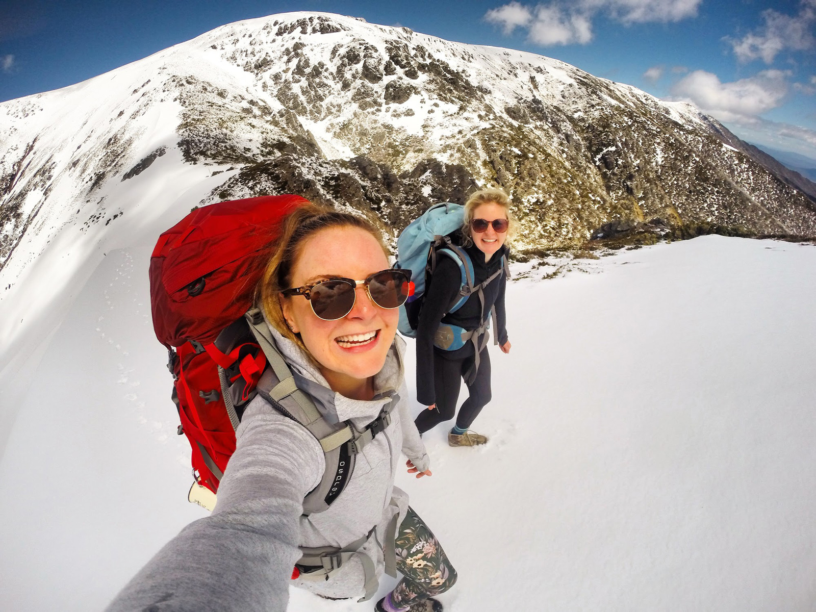 Mount Bogong via Eskdale Spur