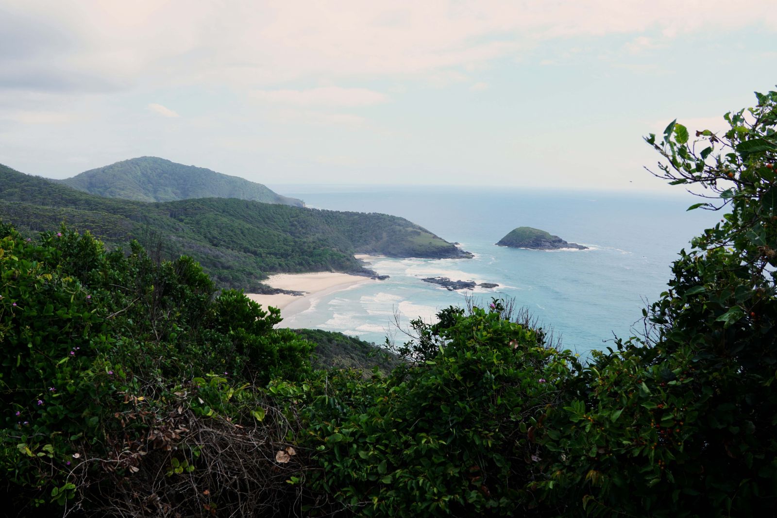 View looking out to the ocean from a green headland