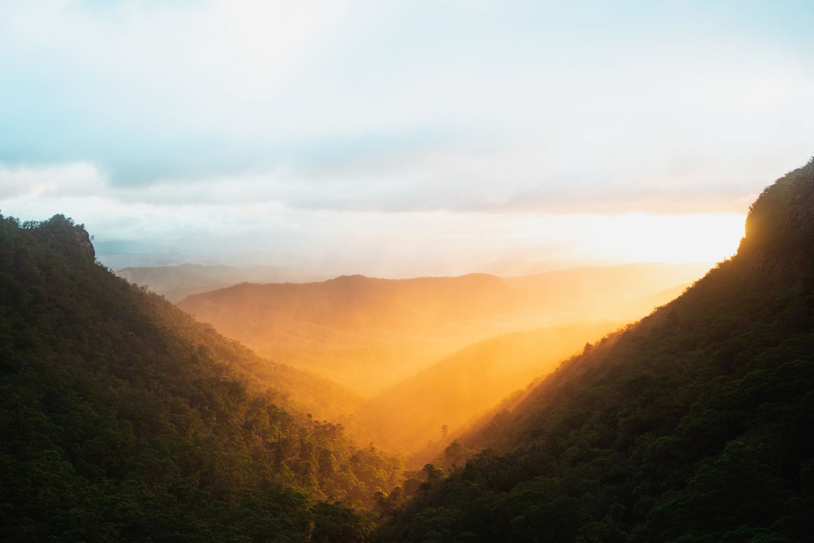 Albert River Cicuit Hike - Lamington National Park