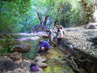 Product testing in the Kimberley