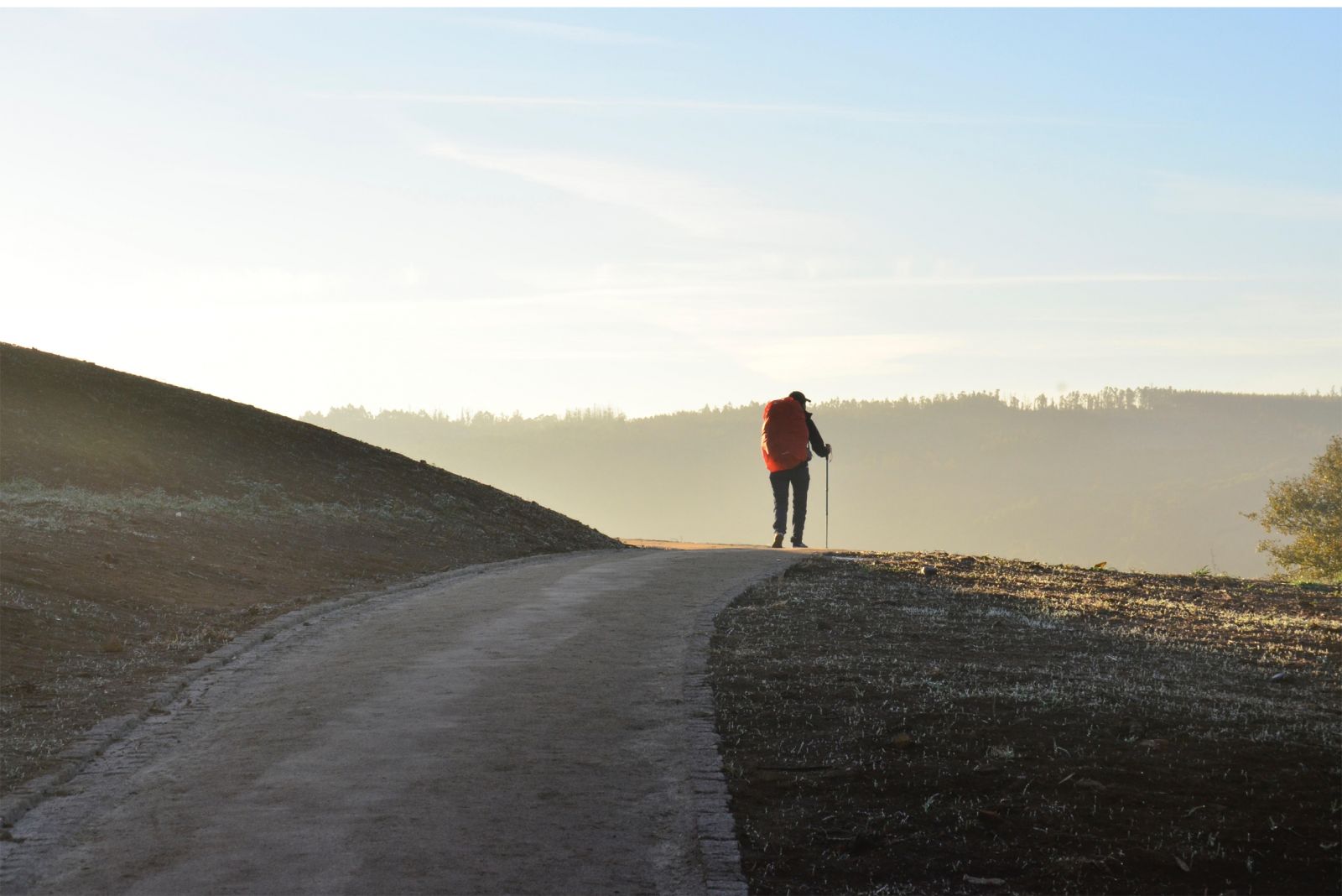 Camino backpacker