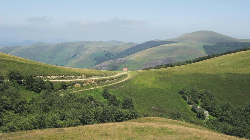 Camino landscape