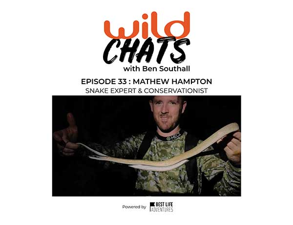 Wild Chats with Ben Southall: Episode 33 - Mathew Hampton