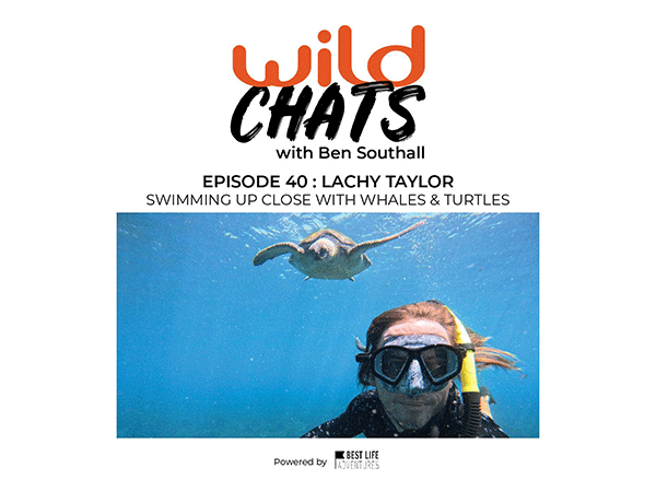Wild Chats with Ben Southall: Episode 40 - Lachy Taylor: Swimming with Whales and Turtles