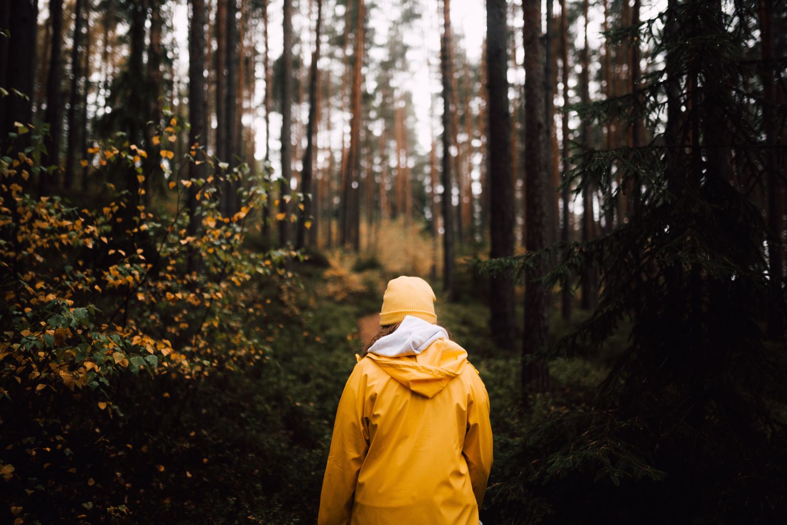Woman in forest wearing a yellow beanie and yellow rain jacket
