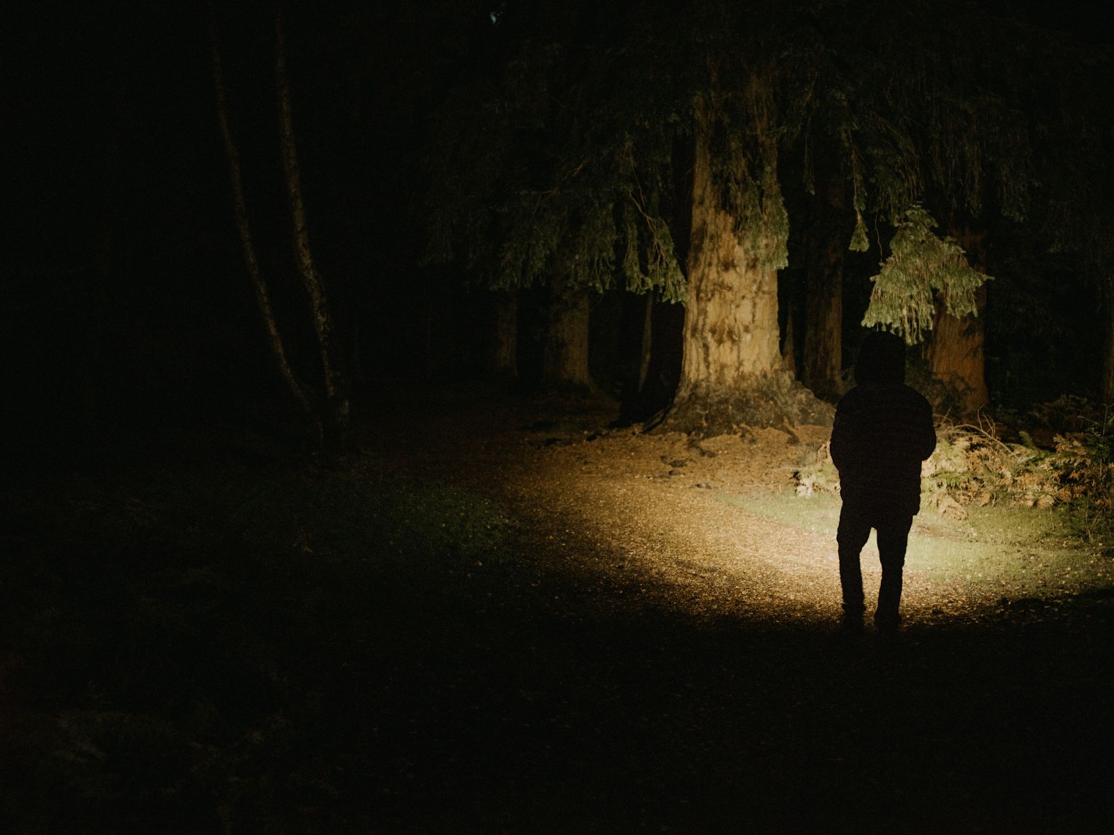 Silhouette of a person hiking at dusk.