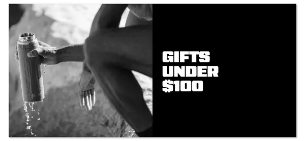 Gifts Under $100