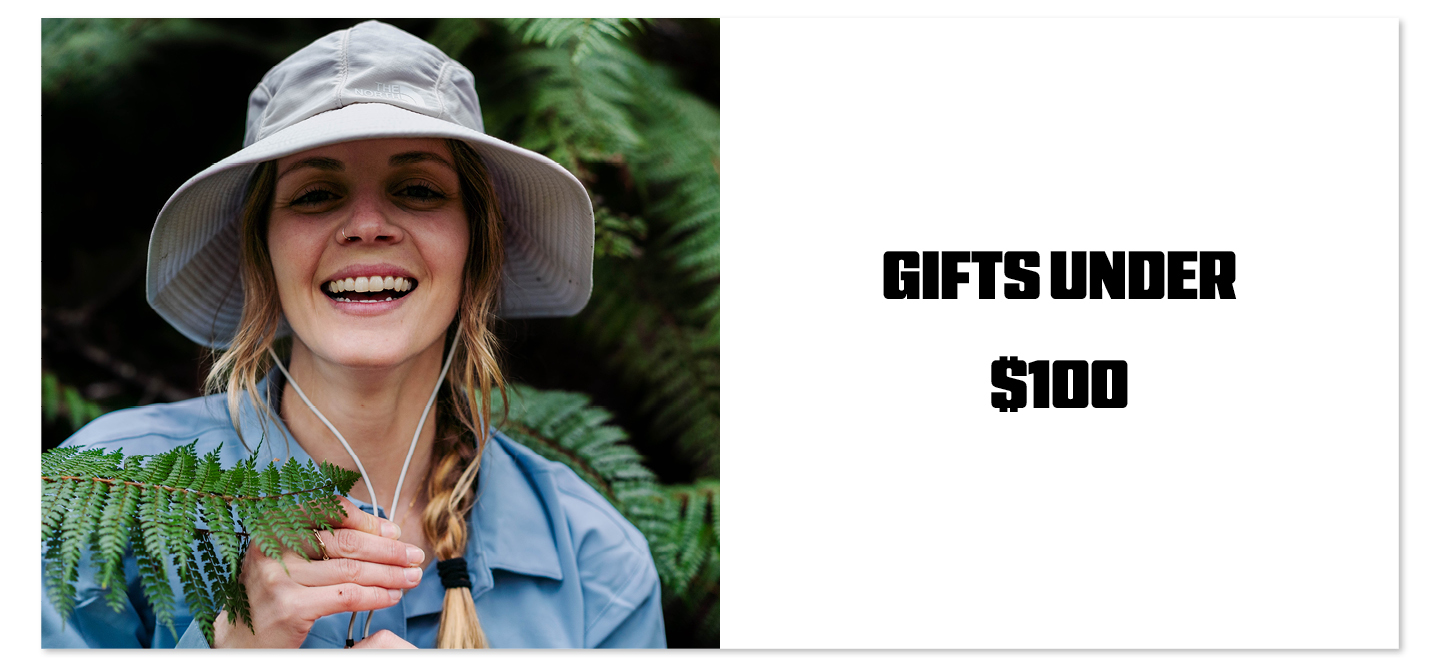 Gifts Under $100