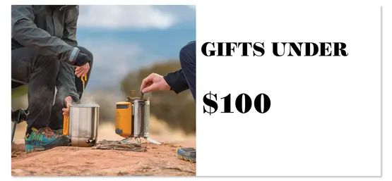 Gifts Under $100