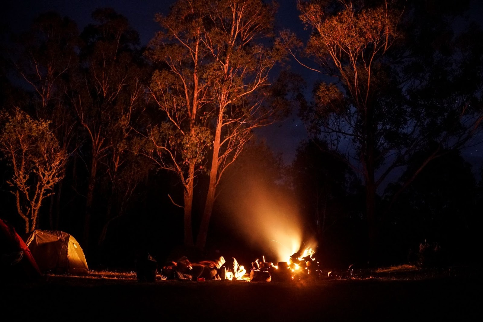 Wild Earth Ambassador at a Campfire in remote Tasmania