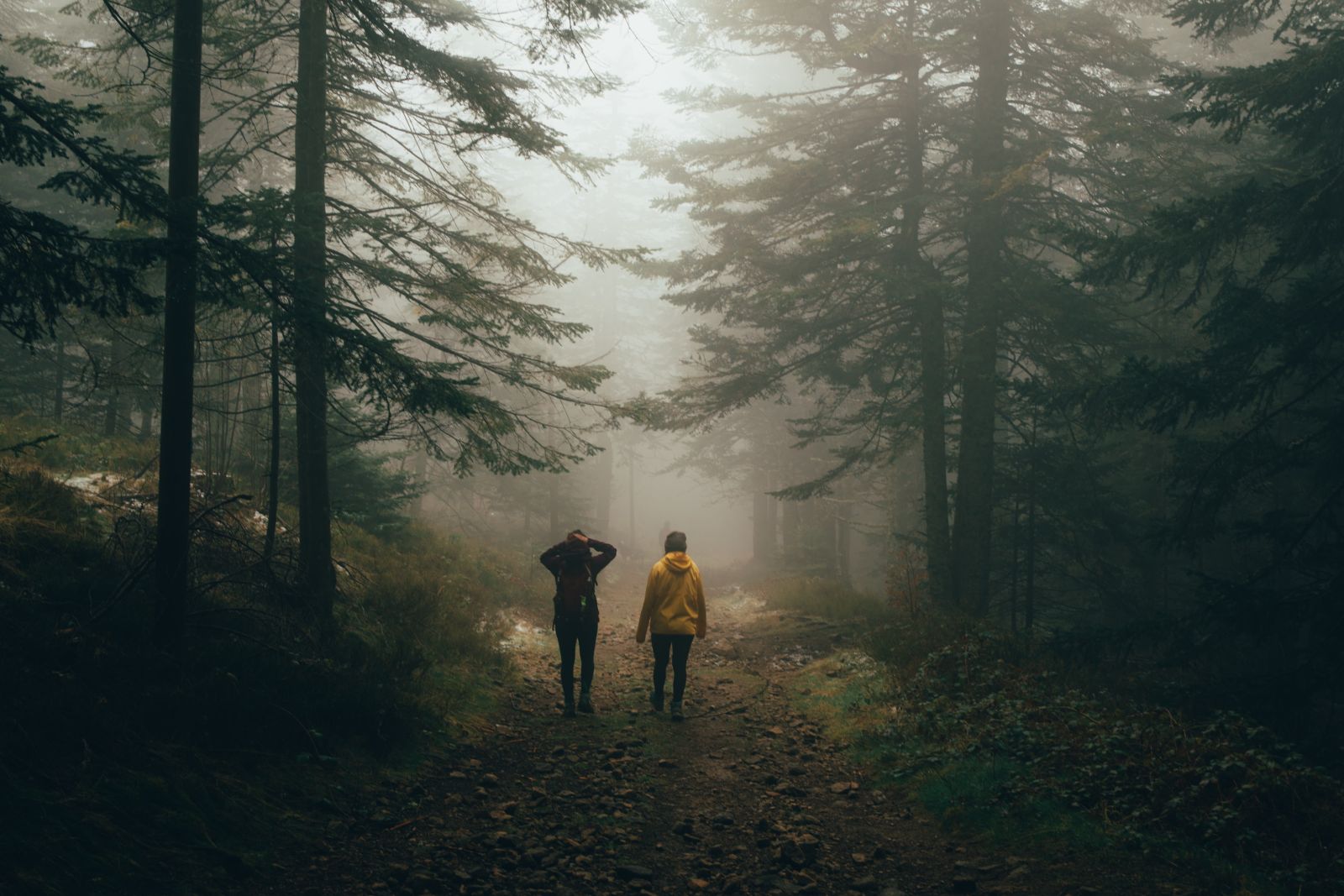 2 people walking in the rain wearing rain jackets