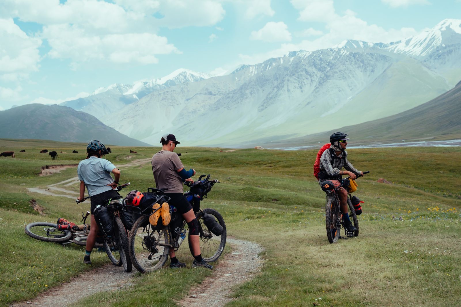 The team on the trail