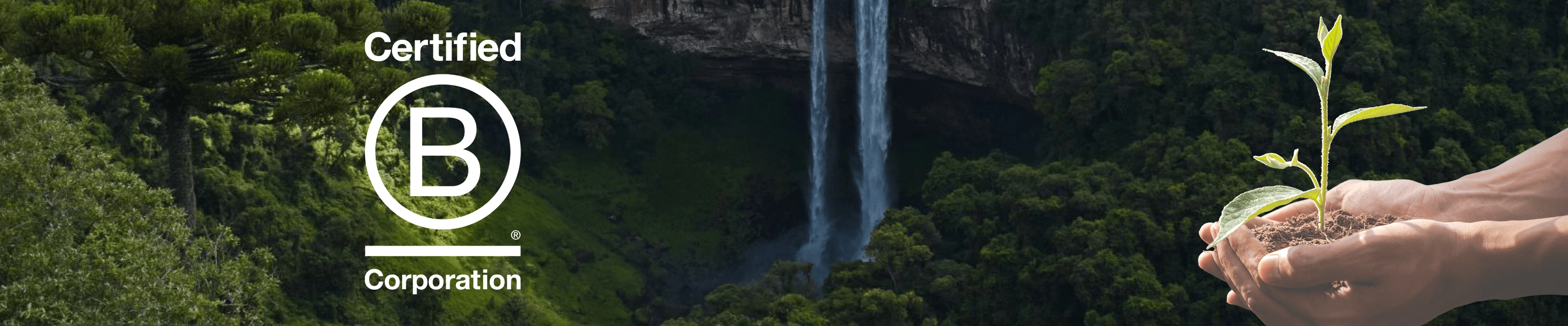 Wild Earth x B Corp - Sustainability Initiative