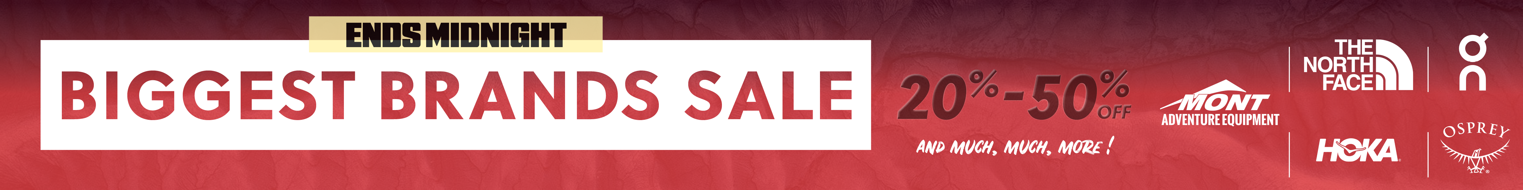 Biggest Brand Sale Ends Midnight 25 XL Cat