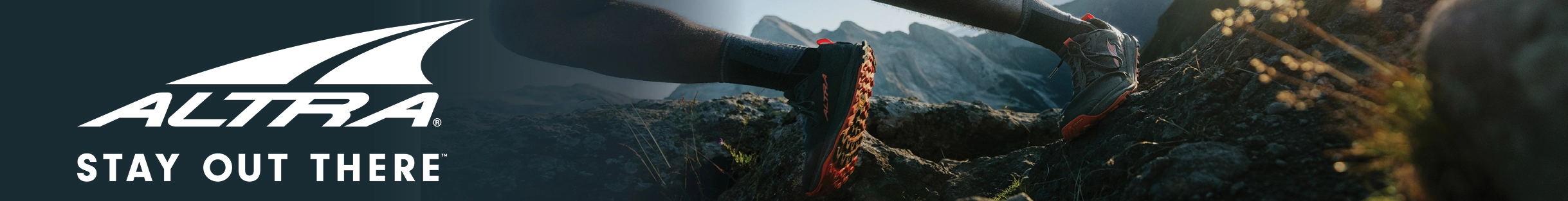 Altra Brand XL Cat Bnr