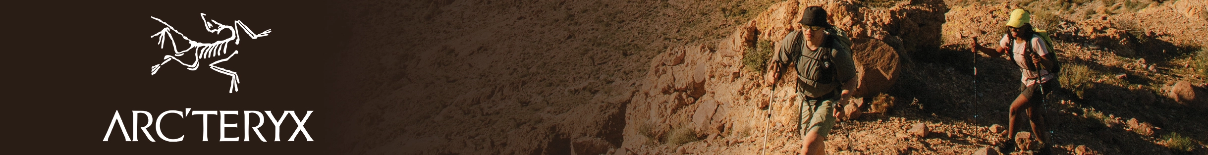 Arcteryx Brand XL Cat Bnr