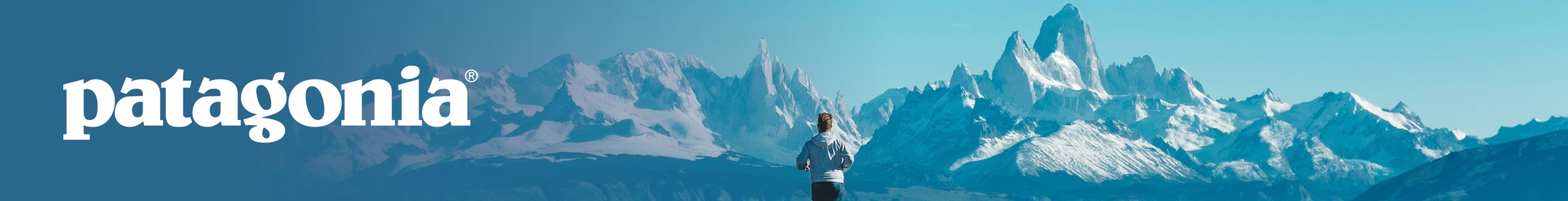 Patagonia Brand XL Cat Bnr