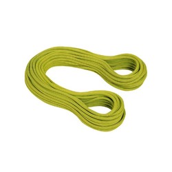 Mammut 9.5 Infinity Dry Standard pappel Single Rope - limegreen - 60 m
