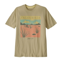Patagonia Desert Glow Oversized Womens T-Shirt - Weathered Stone