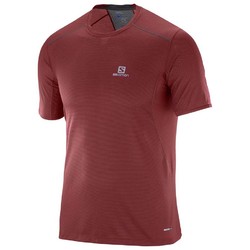 Salomon Trail Runner Mens Short Sleeve Running Tee - Brique-X Asphalt