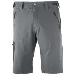 Salomon Wayfarer Mens Shorts - Forged Iron