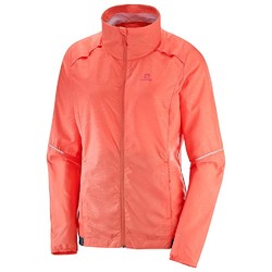 Salomon Agile Wind Womens Jacket - Dubarry