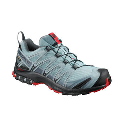 Salomon XA Pro 3D GTX Mens Trail Running Shoes - Lead/Black/Barbados Cherry