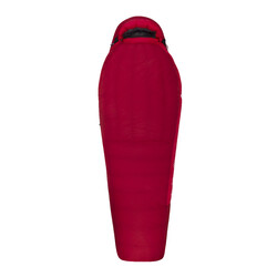 Sea to Summit Alpine 3 ApIII Down Sleeping Bag - Regular