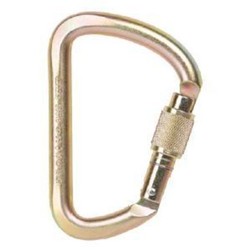 Axis Wide D Screwgate Steel Carabiner - Gold