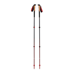 Black Diamond Pursuit Trekking Poles - Charcoal/Octane