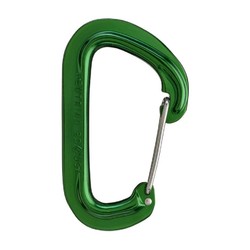 BLACK DIAMOND NEUTRINO WIRE GATE ALLOY CARABINER - Green