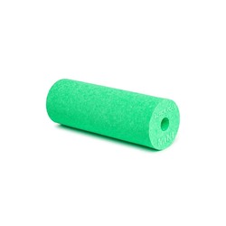 Blackroll Mini Foam Roller - Green