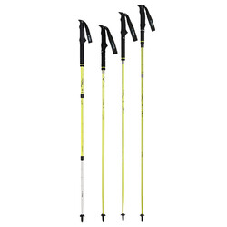 Helinox passport cheap trekking pole