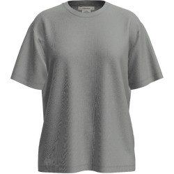Icebreaker Merino 150 Tech Lite Short Sleeve Relaxed Womens T-Shirt - Proto Grey
