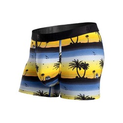 Bn3th Classic Trunk Mens Underwear - Playa Van Illuminating