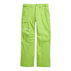 The North Face Freedom Mens Snow Pants - Meadow Grass