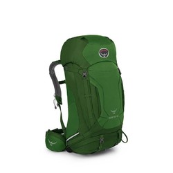 Osprey Kestrel 48L Hiking Backpack - M/L - Jungle Green
