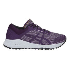 Asics Alpine XT Womens Trail Running Shoes - Astral/Night Shade