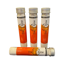 Trail Brew Refillable Electrolyte Drink Test Tube - Orange