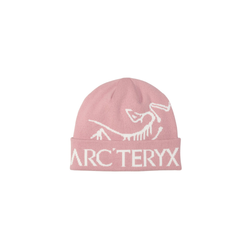 Arcteryx Bird Word Toque Beanie - Bliss/Arctic Silk - Arc'teryx