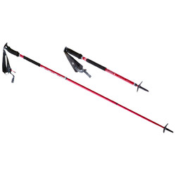 MSR Flight 3 Adjustable Winter Snow Poles