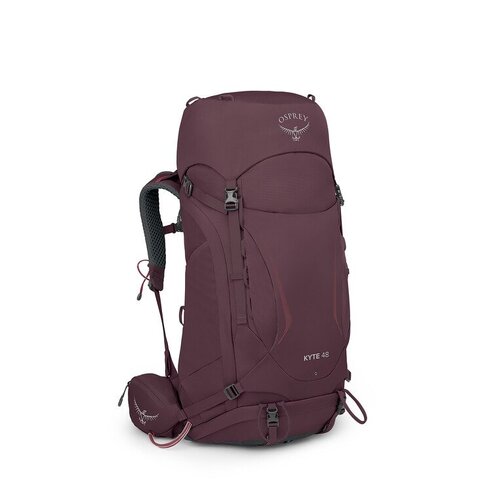 Elderberry Purple